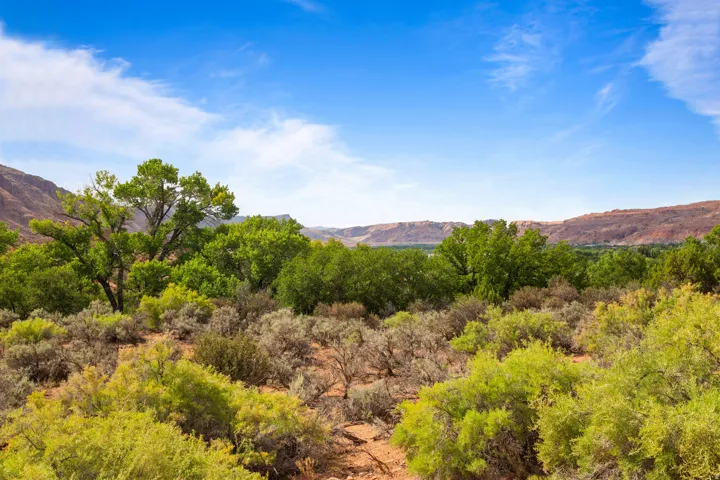 1369 Legacy Dr, Moab, Utah 84532