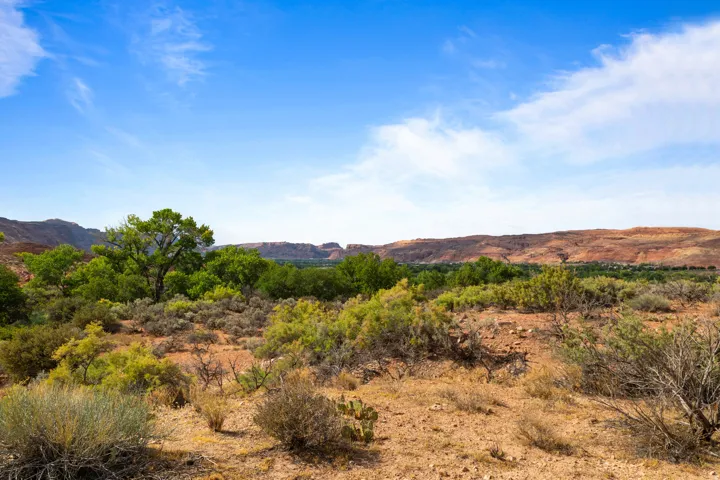 1369 Legacy Dr, Moab, Utah 84532