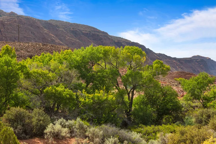 1369 Legacy Dr, Moab, Utah 84532