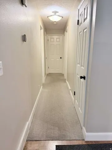 Recessed ceiling light fixture, neutral wall paint, white trim, paneled interior doors with black hardware, and gray carpet flooring