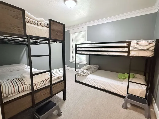 Carpeted room with a ceiling-mounted light fixture, crown molding, and window with blinds