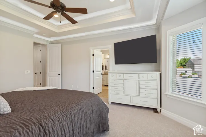 Tray ceiling with crown molding, ceiling fan, carpeted flooring, and white trim work