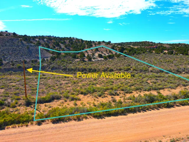 Expansive undeveloped land with a dirt road frontage and utility pole