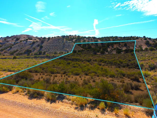 Expansive land parcel with natural vegetation, bordered by a dirt road
