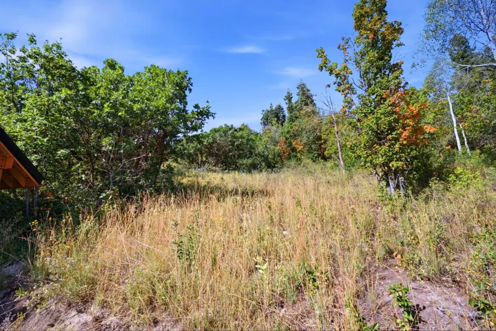 3044 S Forest Meadow Rd, Coalville, Utah 84017