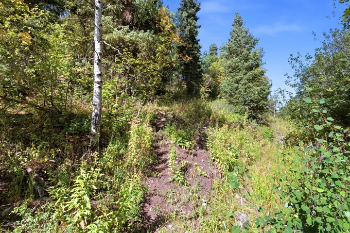 3044 S Forest Meadow Rd, Coalville, Utah 84017