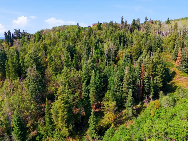 3044 S Forest Meadow Rd, Coalville, Utah 84017