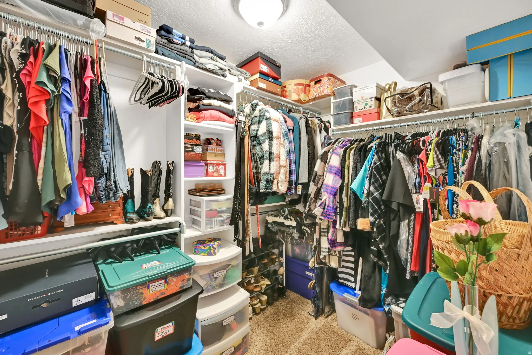 BASEMENT BEDROOM CLOSET