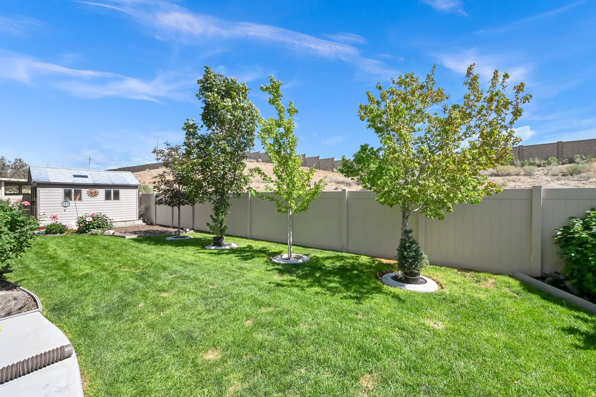 Expansive backyard featuring a manicured lawn, established trees, and a utility shed with a skylight