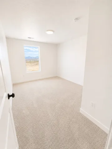 Light-filled interior space featuring neutral carpeting and a flush-mount ceiling light