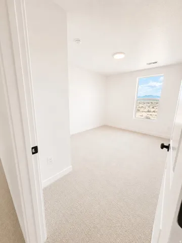 Bright room with light-toned carpeting, a single window, and a flush-mount ceiling light