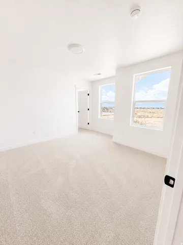 Light-colored carpeting, white walls, and a ceiling-mounted light fixture