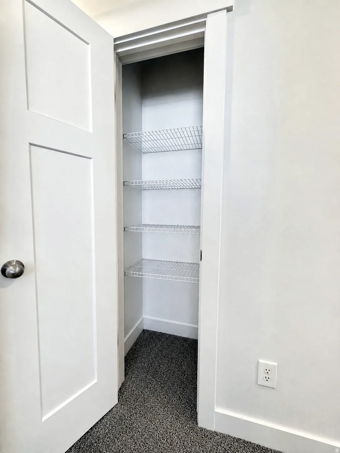 White panel door, wire shelving, and textured flooring