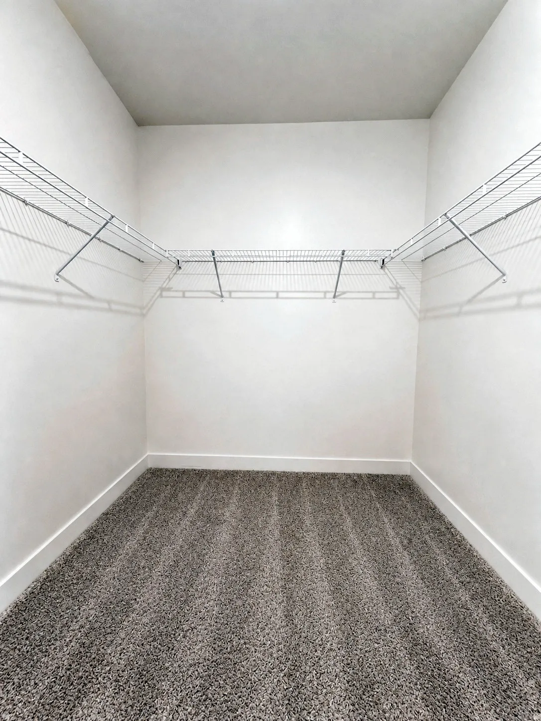 Walk-in closet featuring plush gray carpeting, white walls, and L-shaped wire shelving