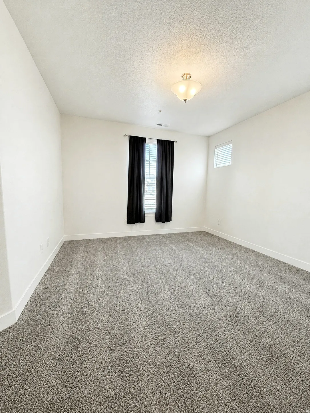 Expansive room featuring plush gray carpeting, white walls, and a semi-flush mount ceiling light fixture
