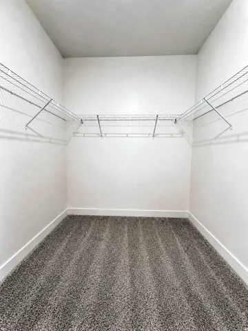 Walk-in closet featuring plush gray carpeting, white walls, and L-shaped wire shelving