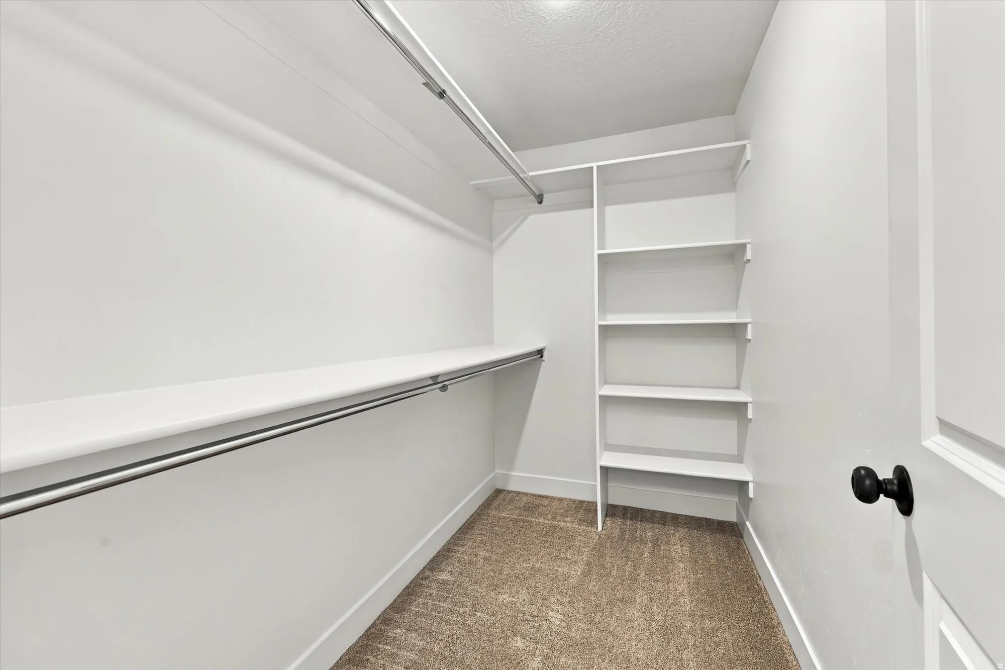 Walk-in closet featuring white built-in shelving, white walls, and light-colored carpeting
