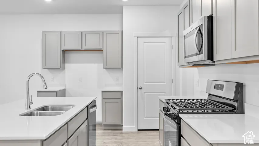 Kitchen featuring light gray cabinetry, stainless steel appliances, white countertops, and wood-finish flooring