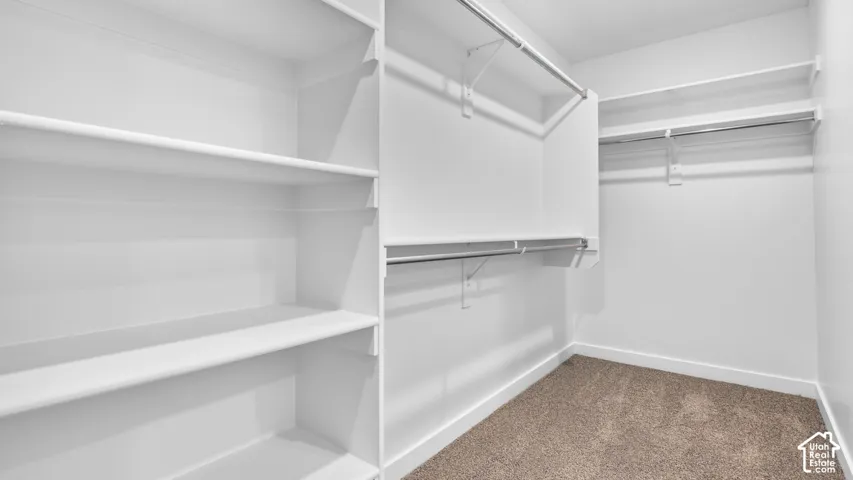 Walk-in closet featuring white built-in shelving, multiple hanging rods, and carpet flooring