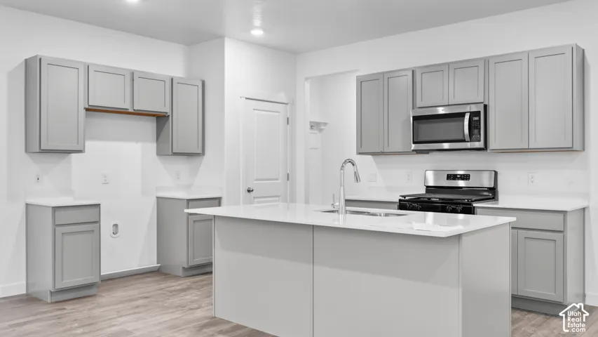 Kitchen featuring wood-finish flooring, recessed lighting, light gray cabinetry, stainless steel appliances, and a central island with a sink