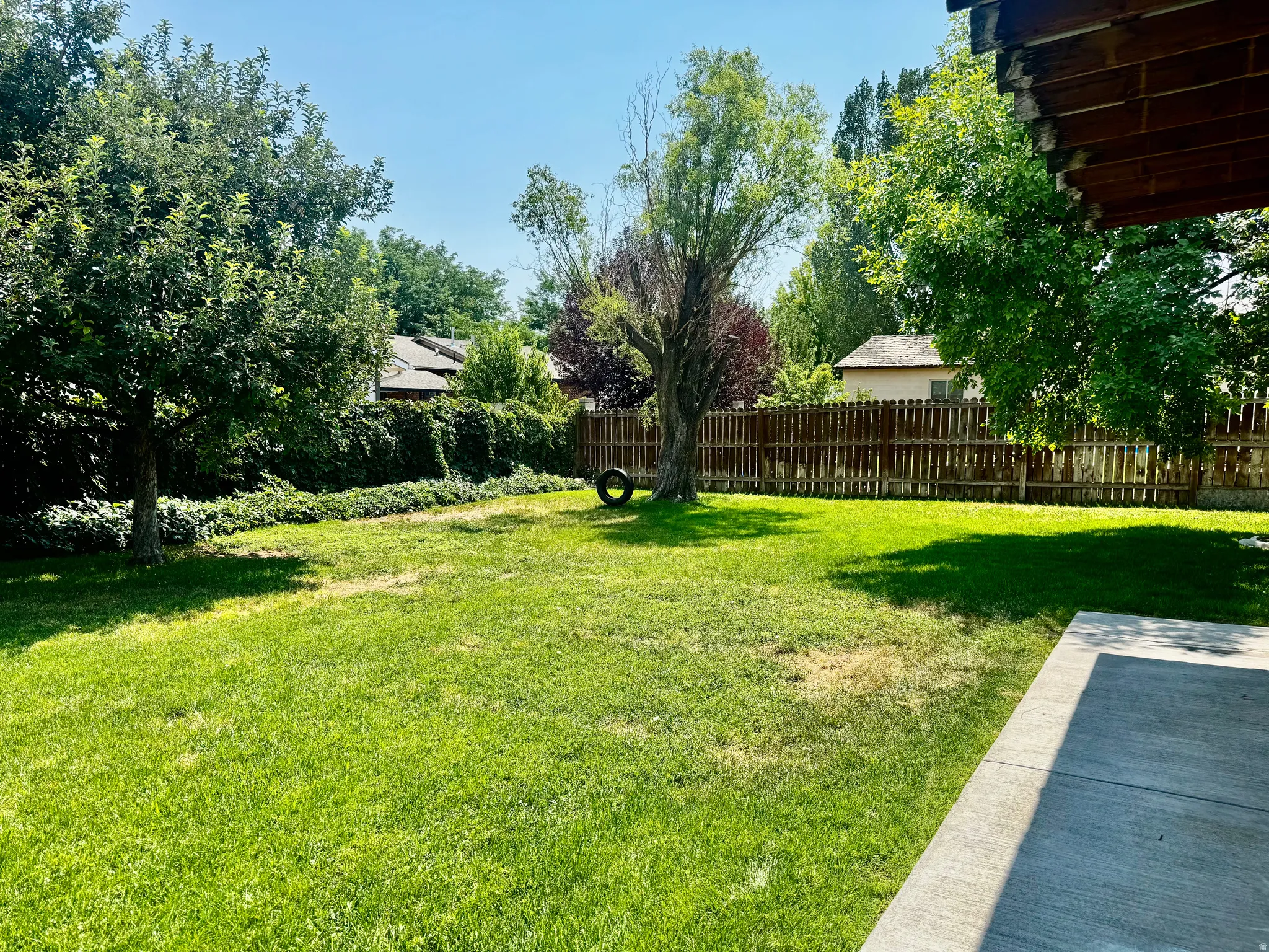 Expansive lawn area with mature trees, a wood privacy fence, and a concrete patio