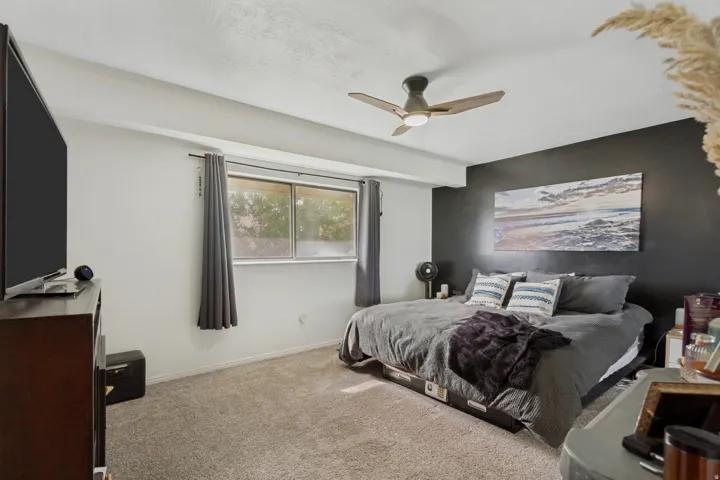 Plush carpet flooring, a large window, a ceiling fan with integrated lighting, and a dark accent wall