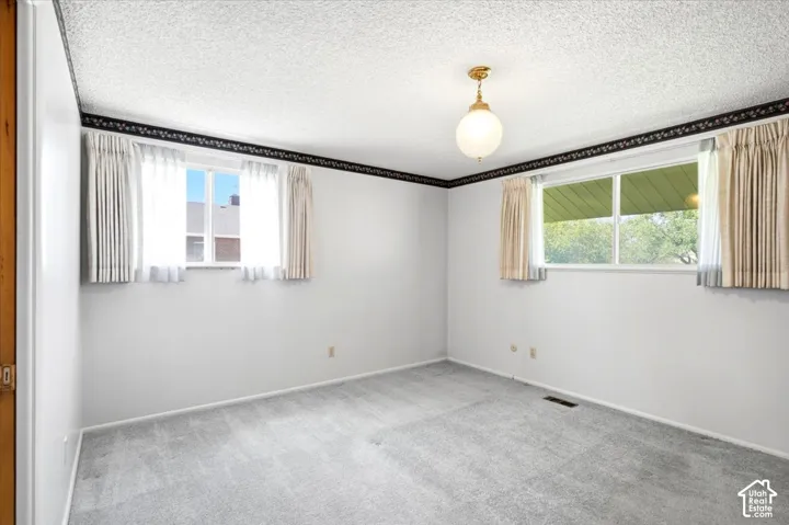 Light gray carpeting