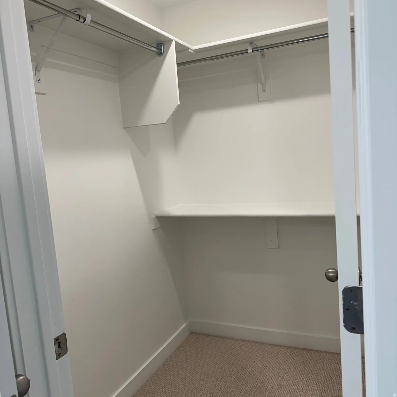 Walk-in closet featuring built-in shelving, chrome hanging rods, and carpet flooring