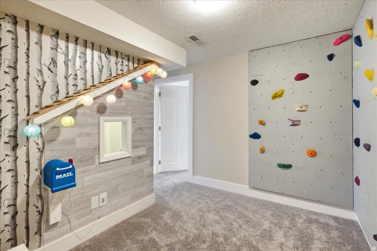 Wall-mounted climbing feature, carpeted flooring, and decorative wall paneling
