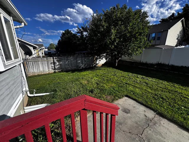 Expansive grassy yard with a mature tree