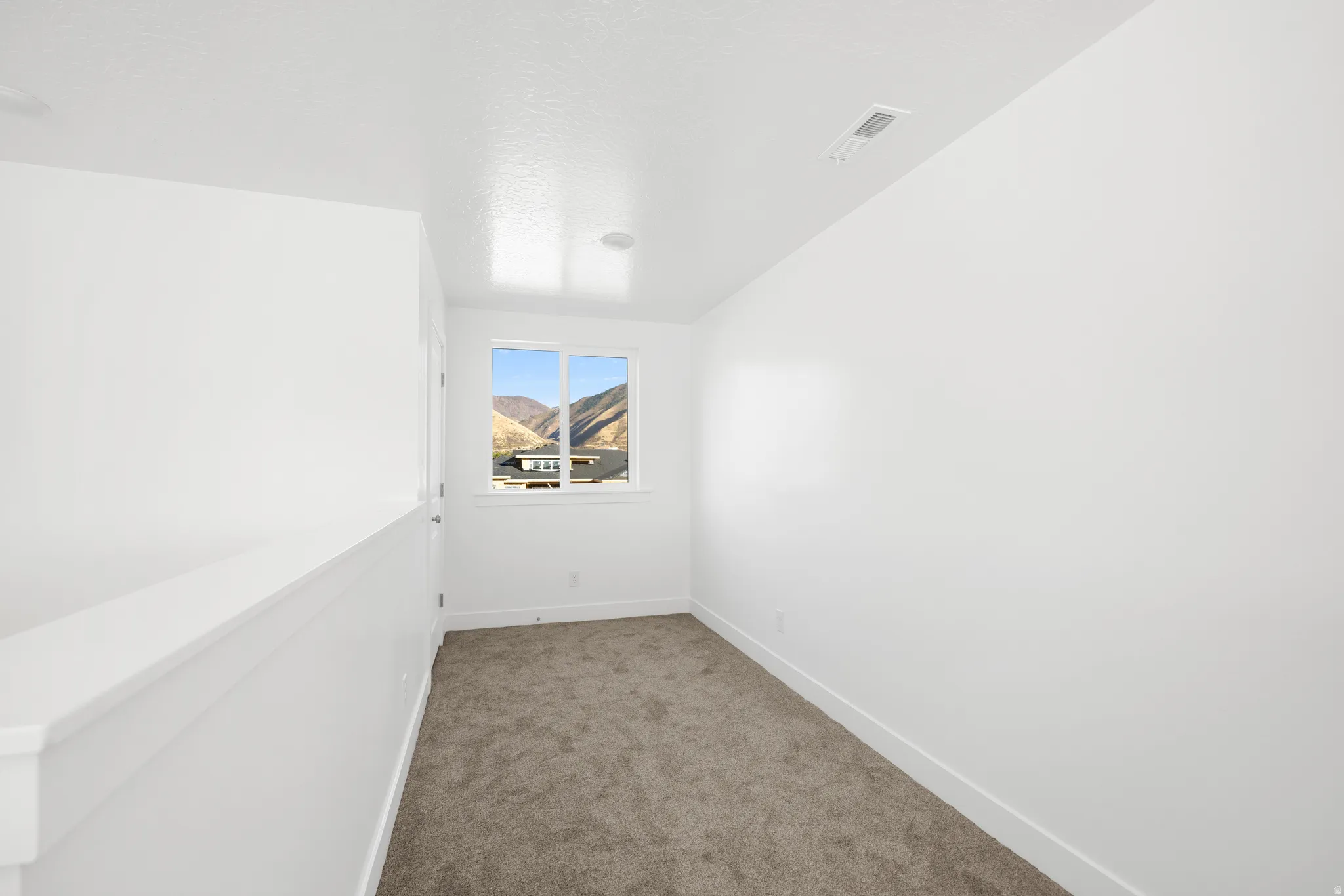 Neutral paint palette, brown carpeting, and a window with mountain scenery