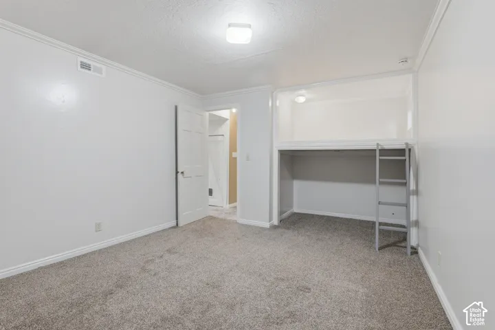 Built-in loft bed with integrated lighting and ladder, carpet flooring, crown molding, and a paneled door