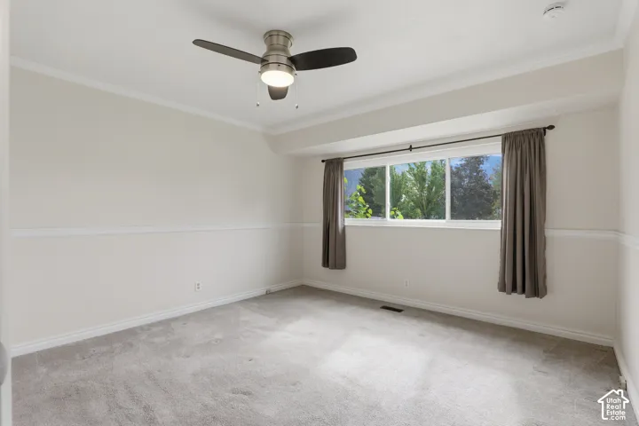 Carpeted room with a ceiling fan, crown molding, and a large window