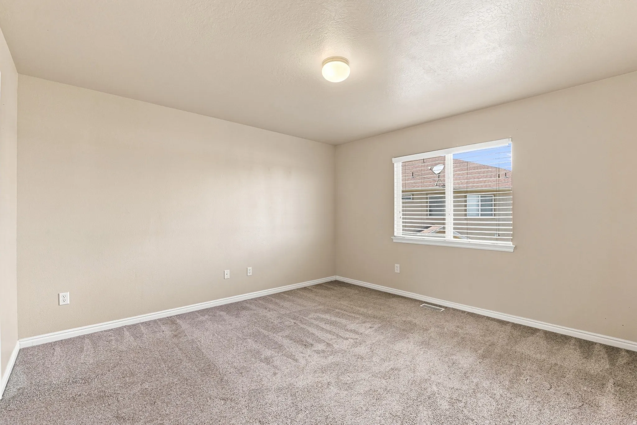 Neutral wall paint, window with blinds, overhead lighting fixture, and carpet flooring