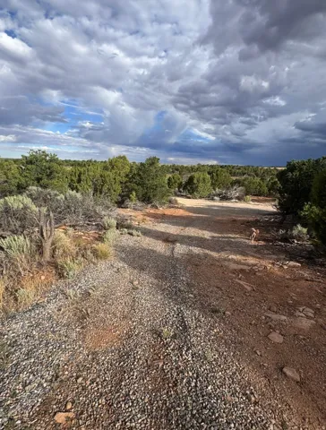 gravel driveway