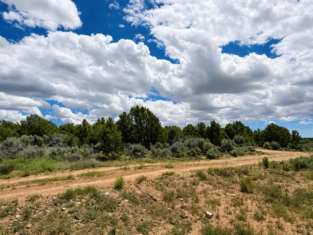 Expansive natural landscape with a clear dirt path, surrounded by abundant green foliage and a vast sky