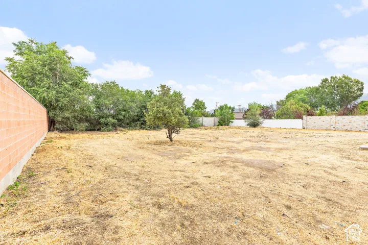 Expansive lot featuring a single tree, a perimeter block wall, and mature foliage
