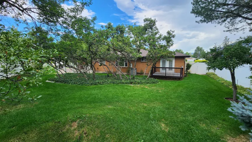 Expansive green lawn with mature trees, a private wooden deck, and a stucco exterior