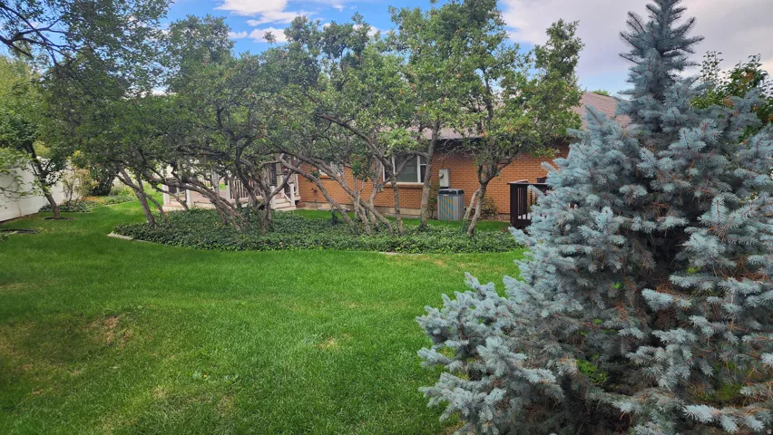 Expansive lawn area with mature trees and established ground cover