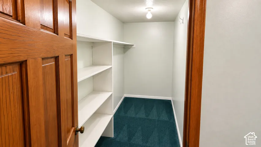 Walk-in closet with built-in shelving, plush carpet, and a flush-mount light fixture