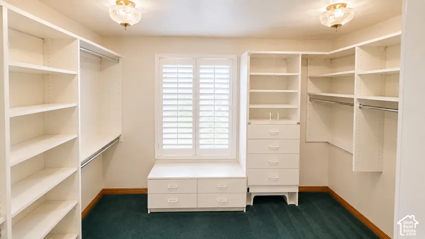 Built-in shelving units, integrated drawer storage, window with plantation shutters, ceiling-mounted light fixtures, and wall-mounted clothing rods