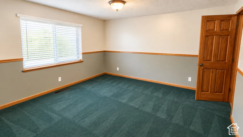 Room featuring wall-to-wall carpeting, a wood-paneled door, and a single window with blinds