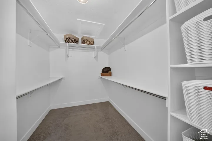 Built-in shelving, hanging rods, and recessed lighting