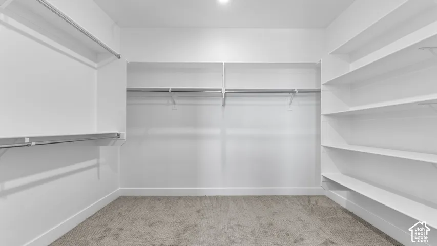 Built-in shelving, multiple hanging rods, recessed ceiling light, white walls, and carpet flooring