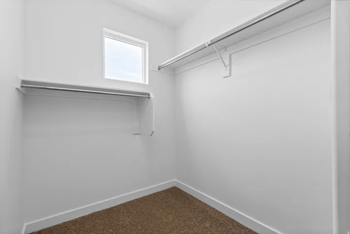 Walk-in closet with carpet flooring, white walls, and a single window