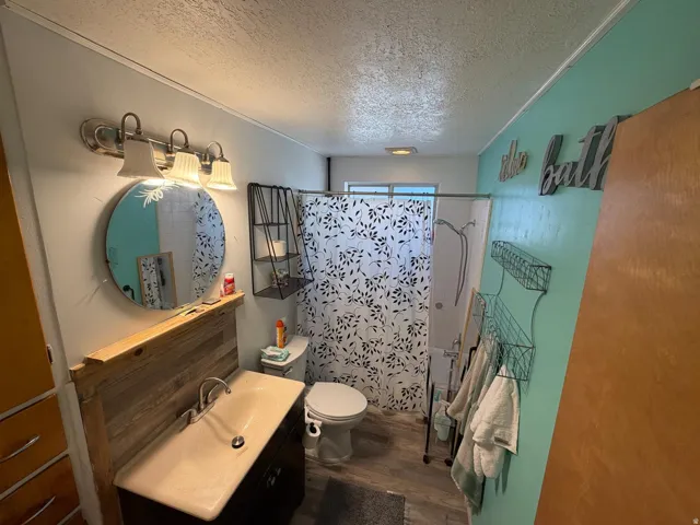 Vanity with a single basin, wall-mounted light fixture, and a toilet