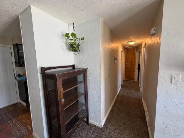 Hallway with overhead flush-mount lighting, textured walls, and carpet flooring