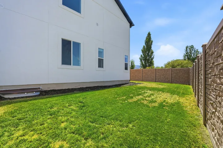 Expansive green lawn with a textured privacy fence and a window well