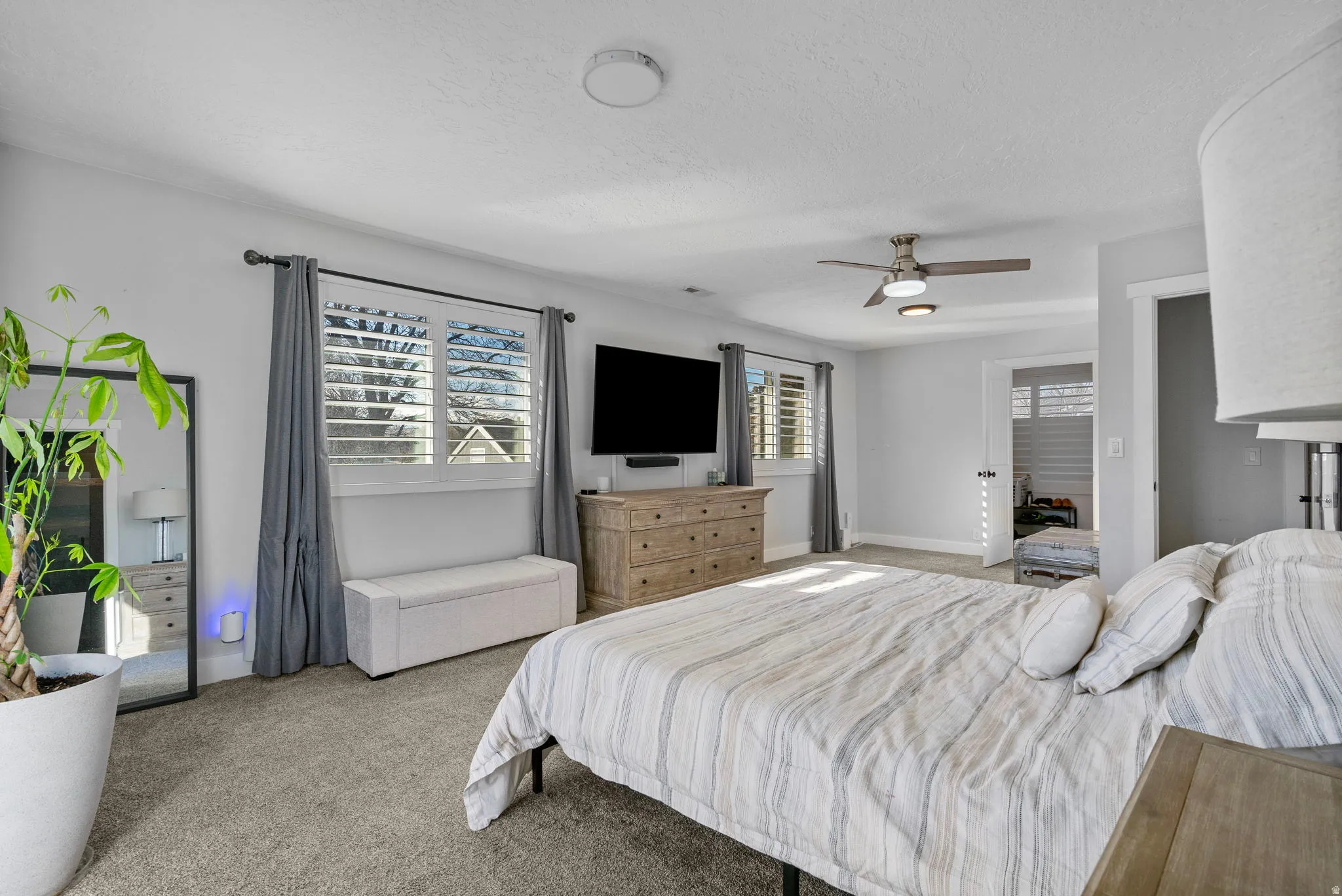 Planted shutters, ceiling fan, and carpeted flooring