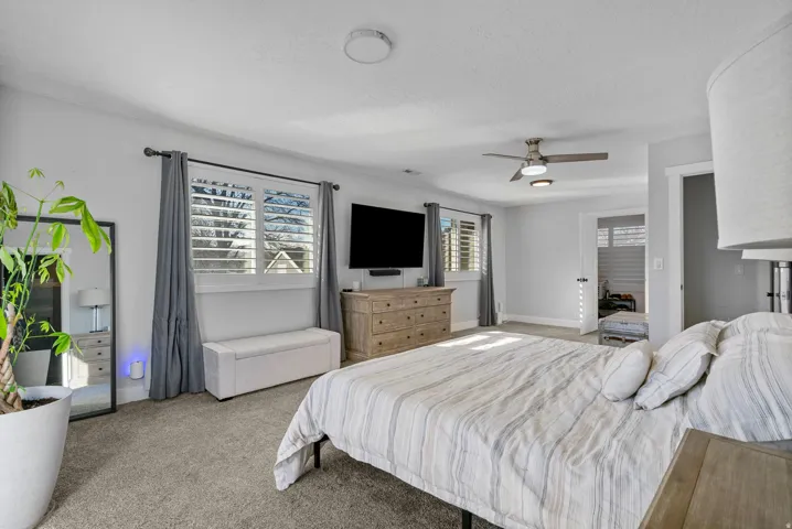 Planted shutters, ceiling fan, and carpeted flooring